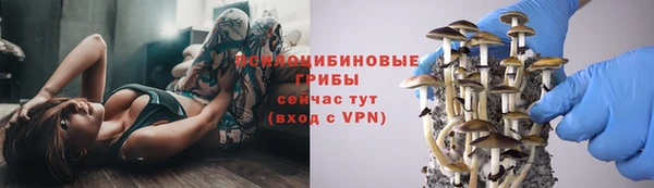 стафф Богданович